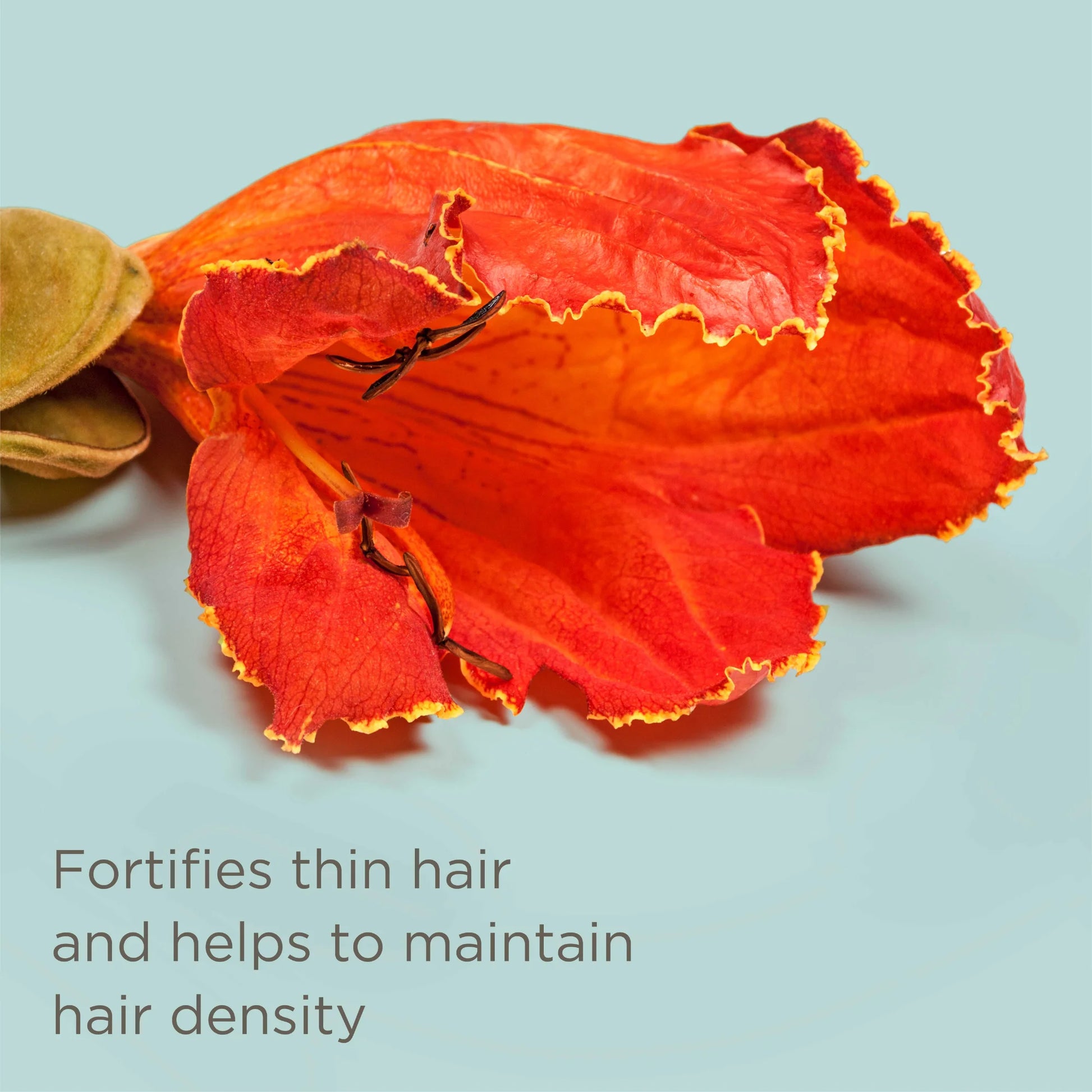 Hair Tools Set: Ceramic Heated Blow Dryer Brush Straightener and Play It Cool Argan Oil Heat Protectant Spray